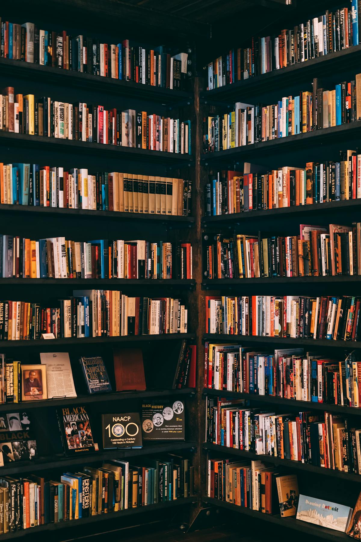 Bookshelf Cabinet